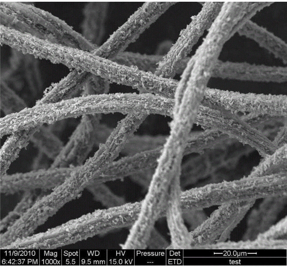 Method for preparation of super long fibrous titanium dioxide by taking cellulosic fibers as template