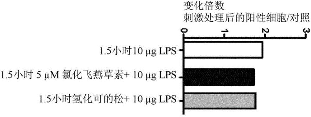 Delphinidin complex as an antiphlogistic or immunosuppressive active ingredient