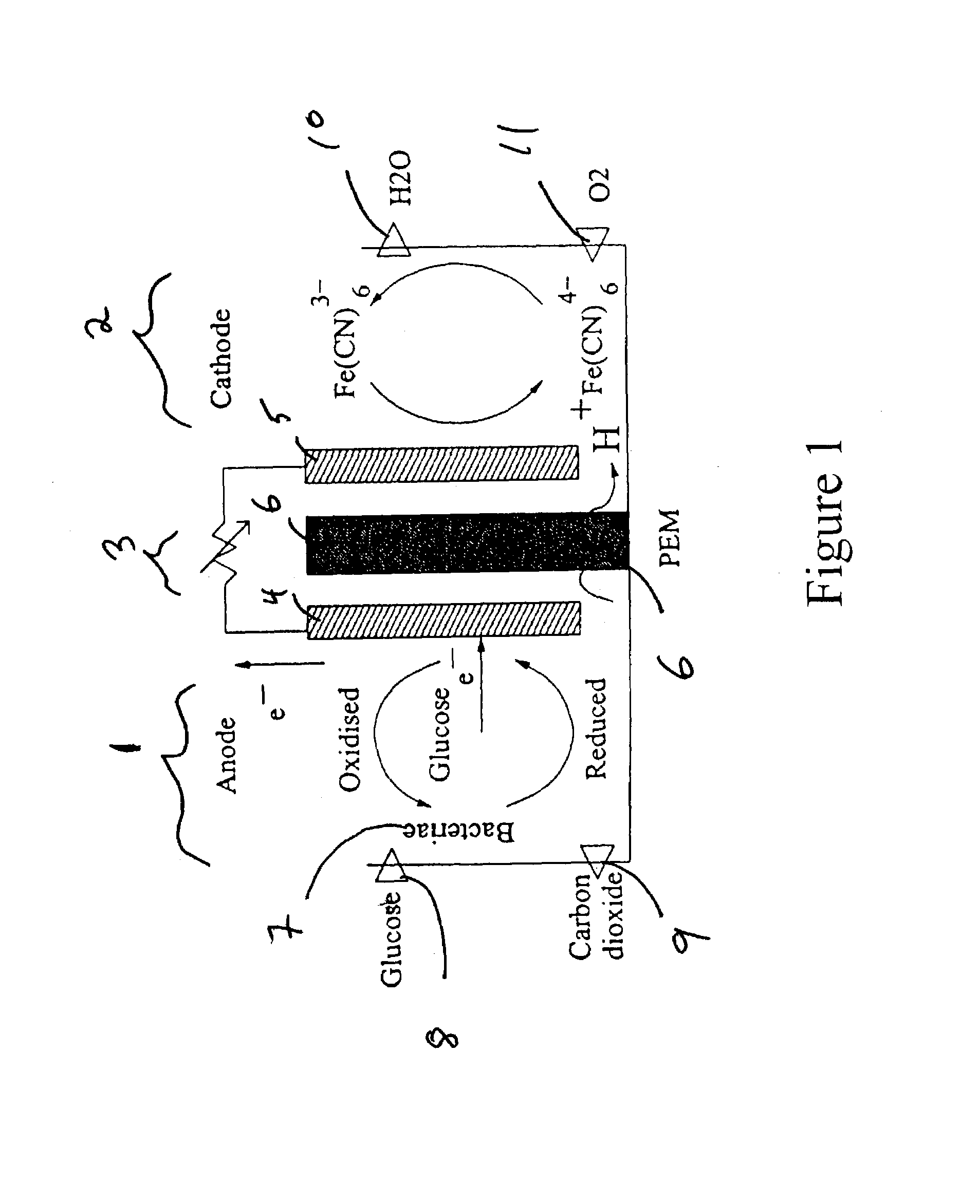 Implantable, miniaturized microbial fuel cell