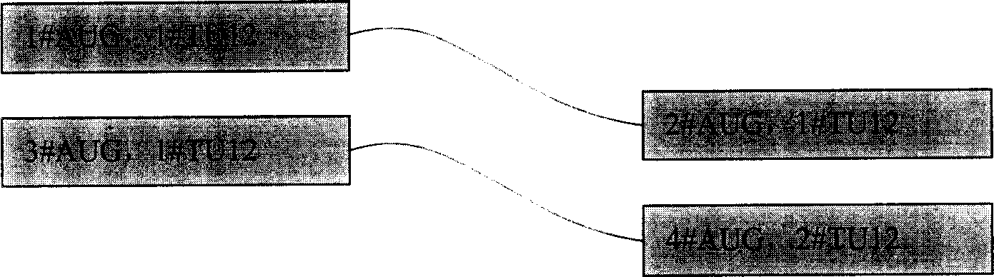 Method of light plate-to-light plate time slot time division optimizing configaration of SDH system