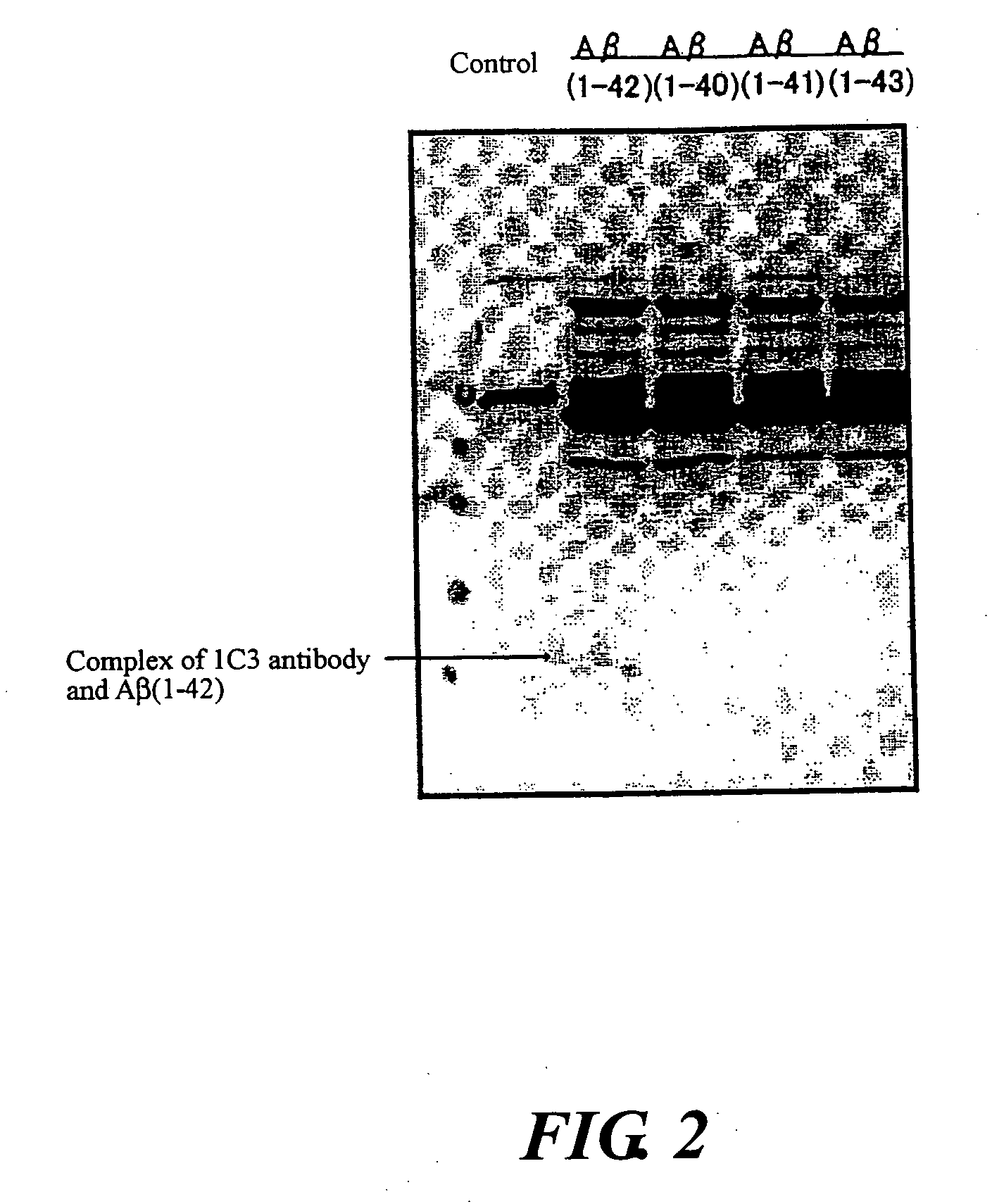 Monoclonal Antibody And Use Thereof