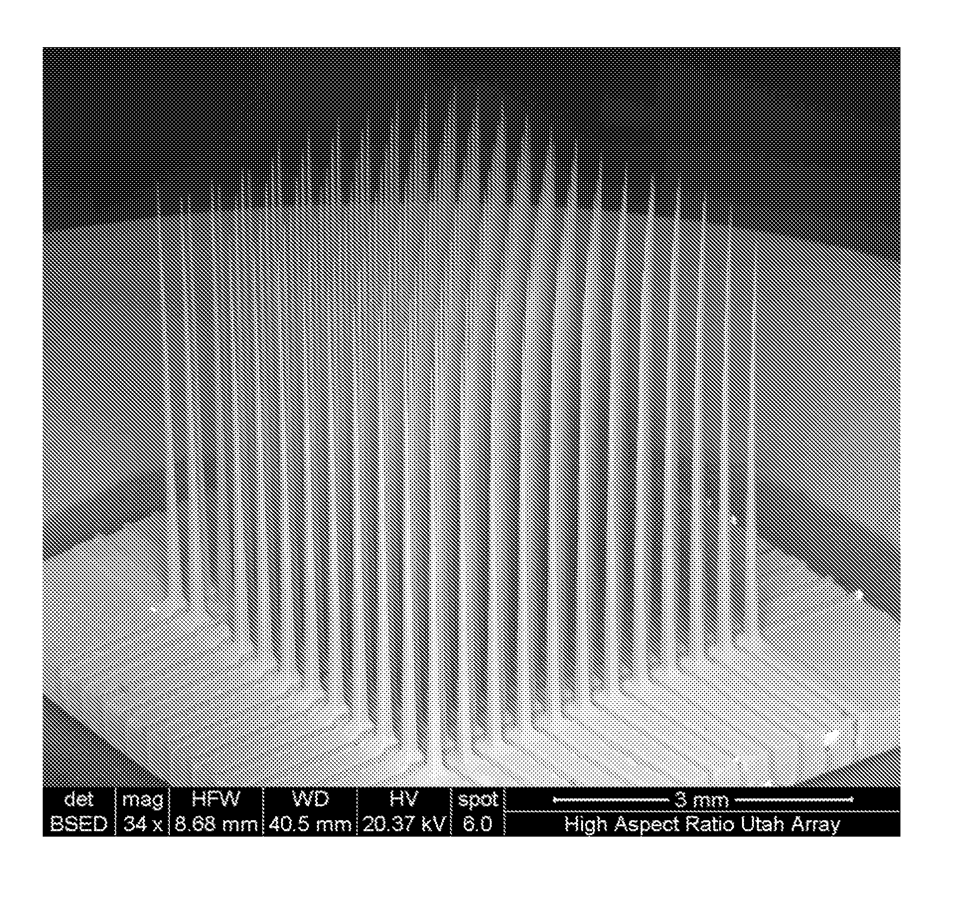 High Aspect Ratio Microelectrode Arrays Enabled to Have Customizable Lengths and Methods of Making the Same