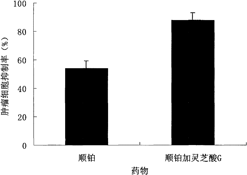 Application of ganoderic acid G as immune synergist and super-antigen dependent therapeutic medicine in tumour treatments