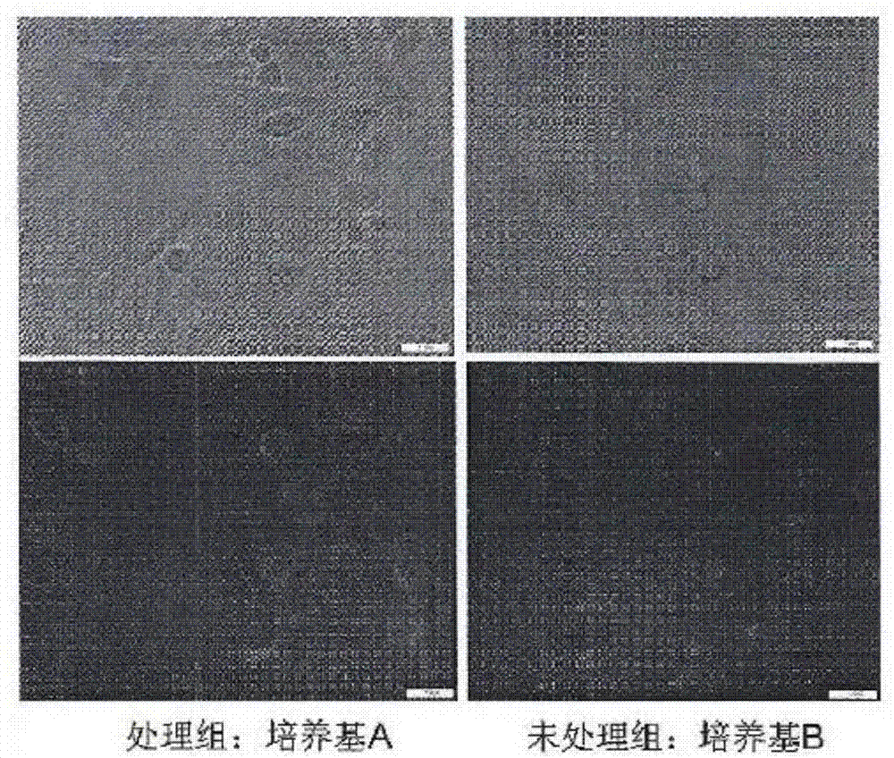 Application of multi-pole micro-kinetic-energy drinking water in preparation of beverage, health product or drug for relaxing bowels