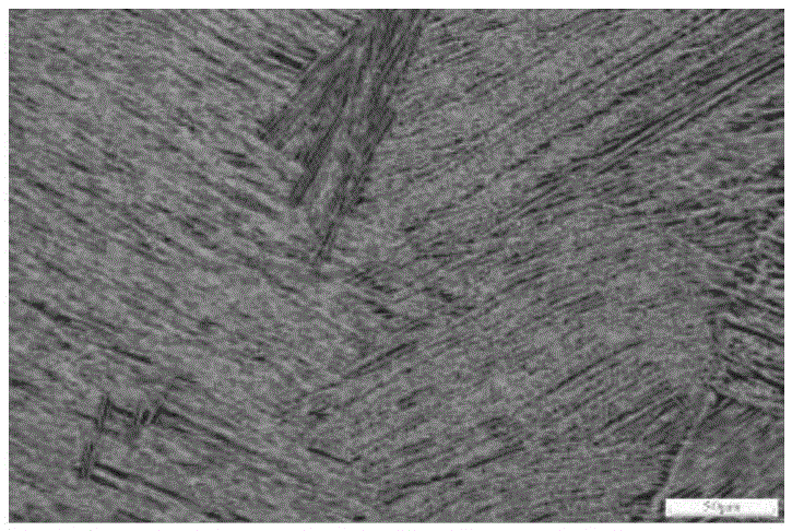 Making and application methods for atlas of microstructure of titanium alloy