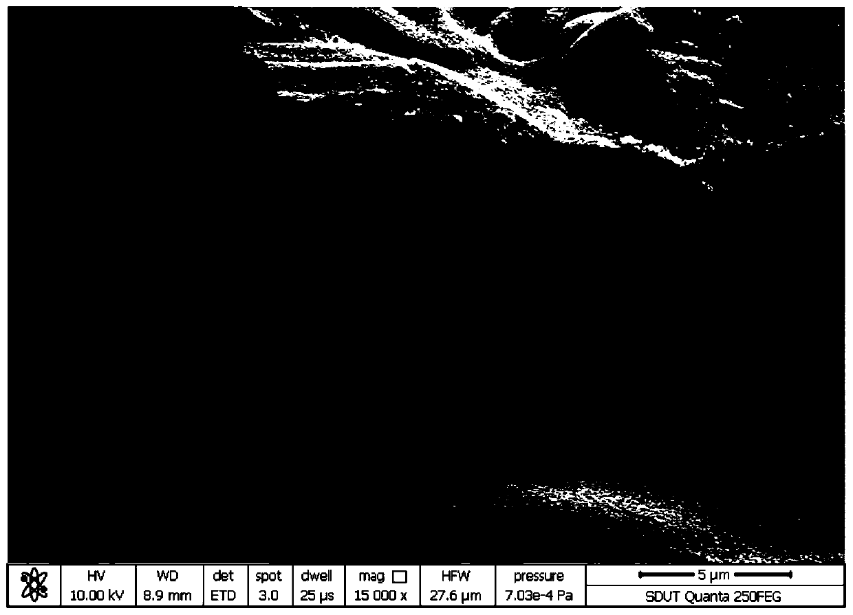 Two-dimensional carbon nanosheet and method for preparing two-dimensional carbon nanosheet on a large scale