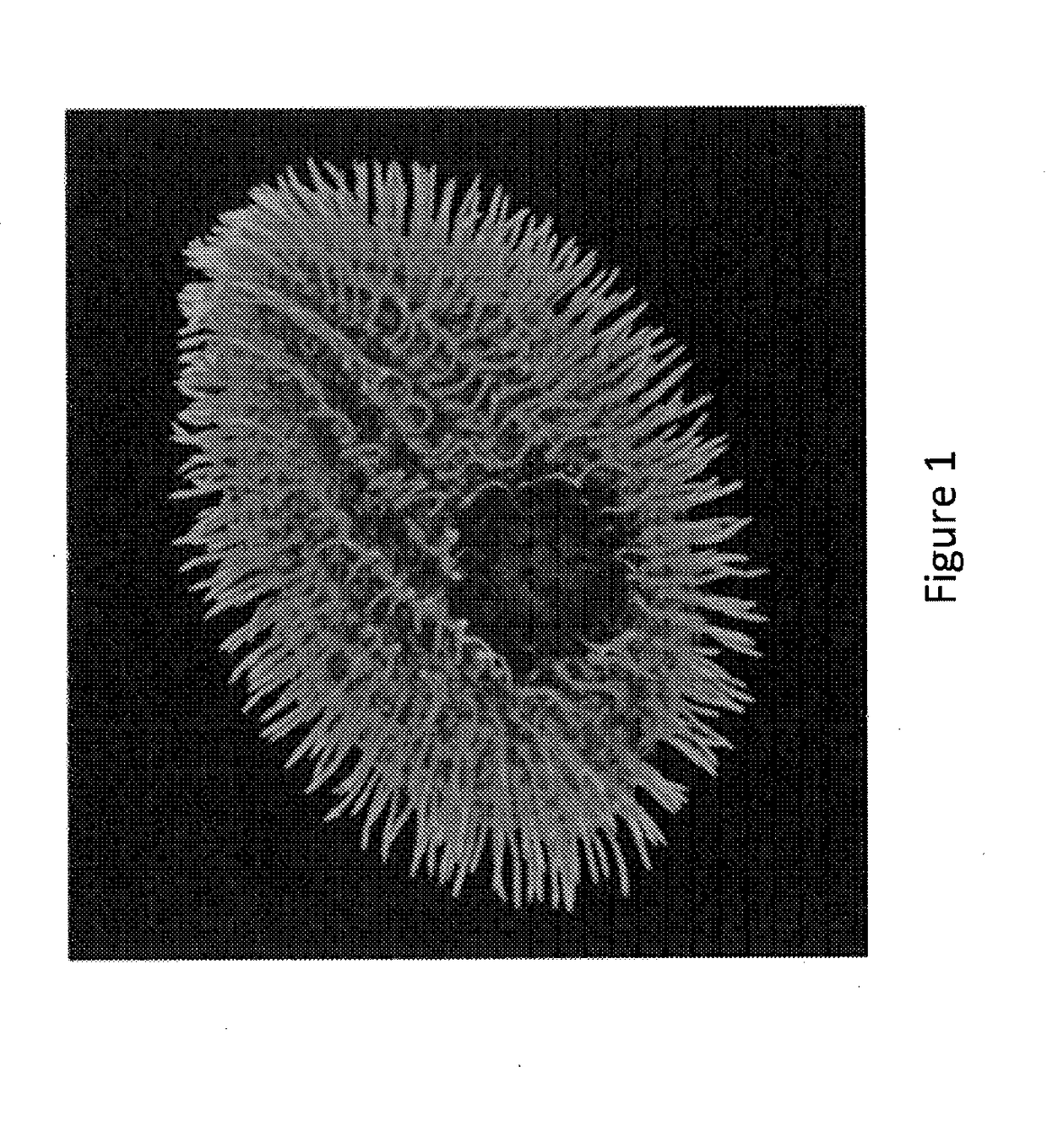 Expression of voltage-gated ion channels in ciliates