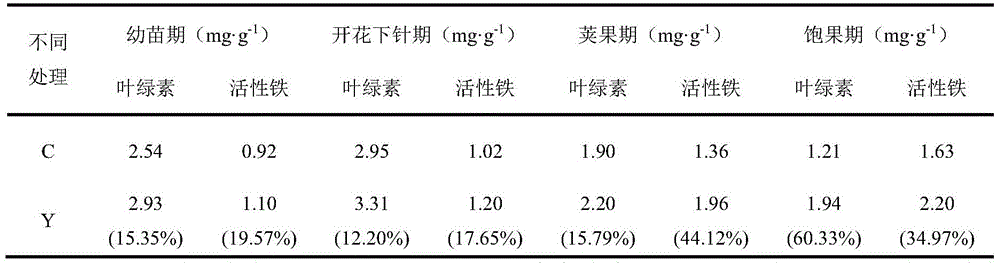 A kind of siderophore Paenibacillus and its application