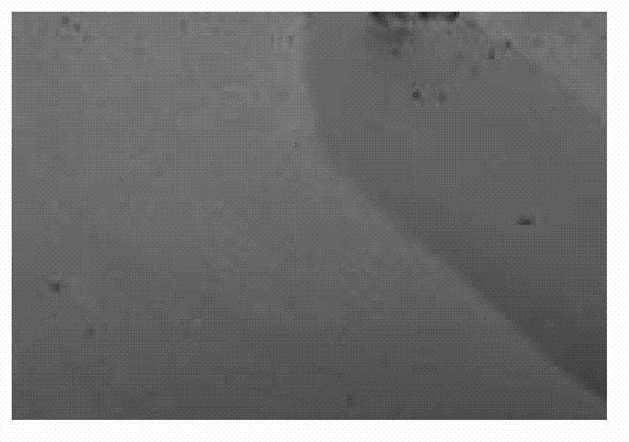 Corrosion control method and device for online film formation of pipeline of oil refining and chemical device