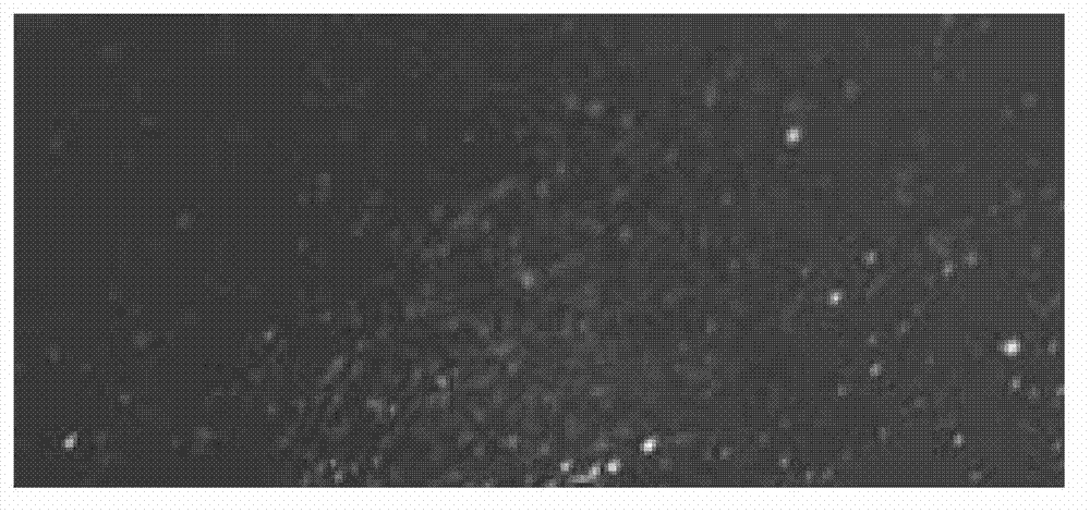 Corrosion control method and device for online film formation of pipeline of oil refining and chemical device