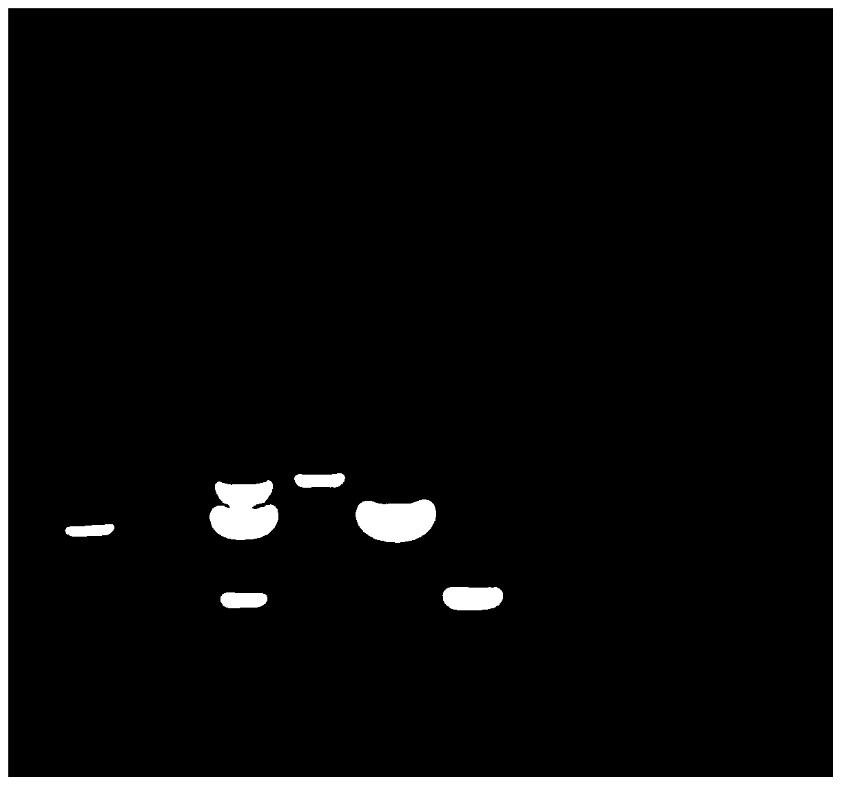 A quadruple PCR assay for the identification of canine parvovirus, canine distemper virus, canine parainfluenza virus, and canine adenovirus type 2