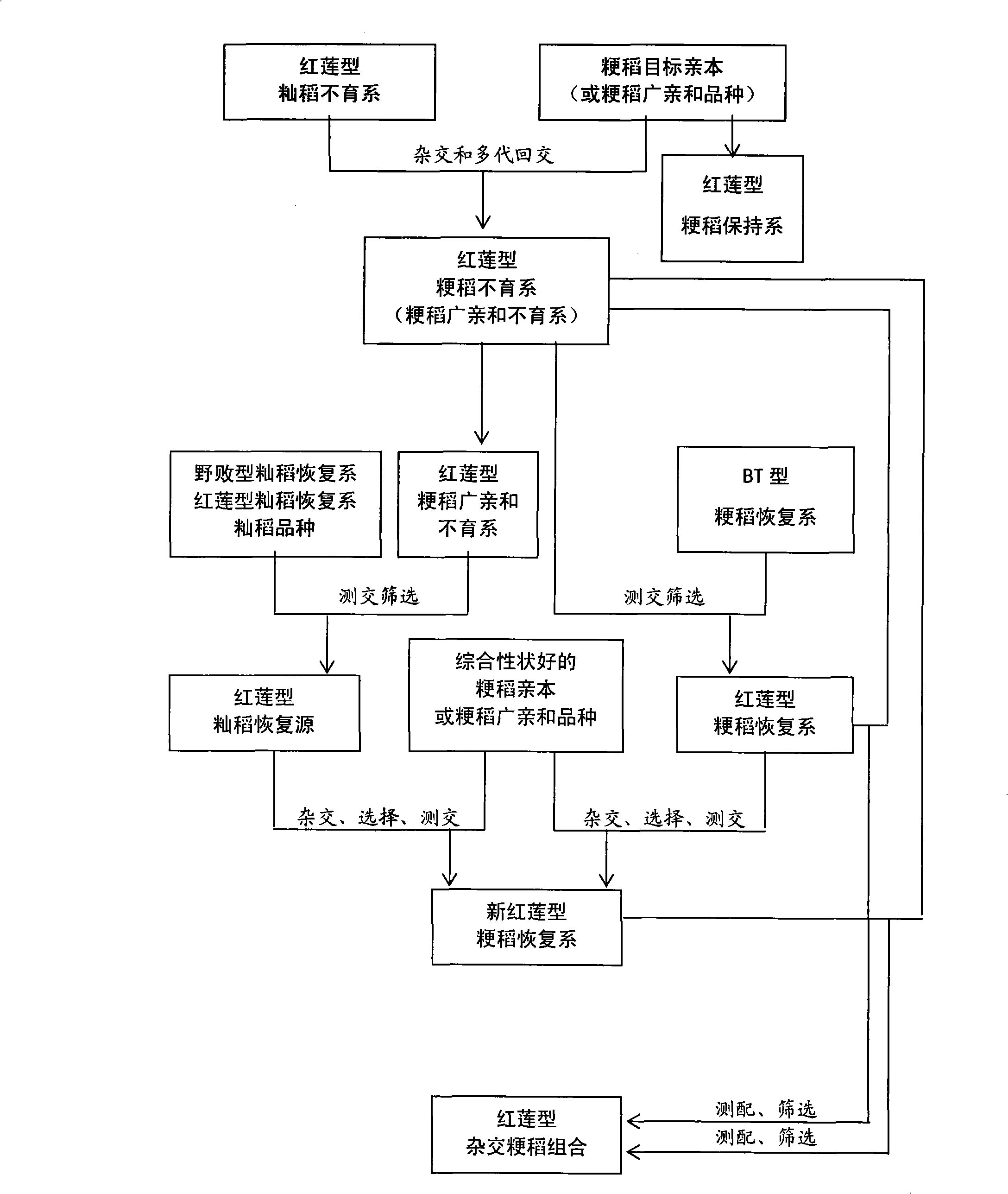 Honglian type method for breeding japonica hybrid rice