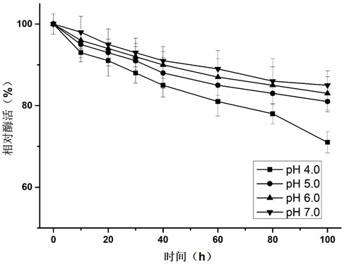 Method for preparing chitosan oligosaccharide, chitosanase as well as gene, enzyme preparation and application of chitosanase