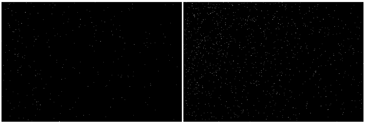 Preparation method of palladium nano-clusters with sizes controllable