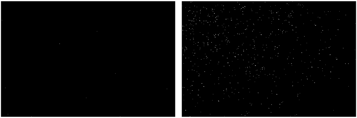 Preparation method of palladium nano-clusters with sizes controllable