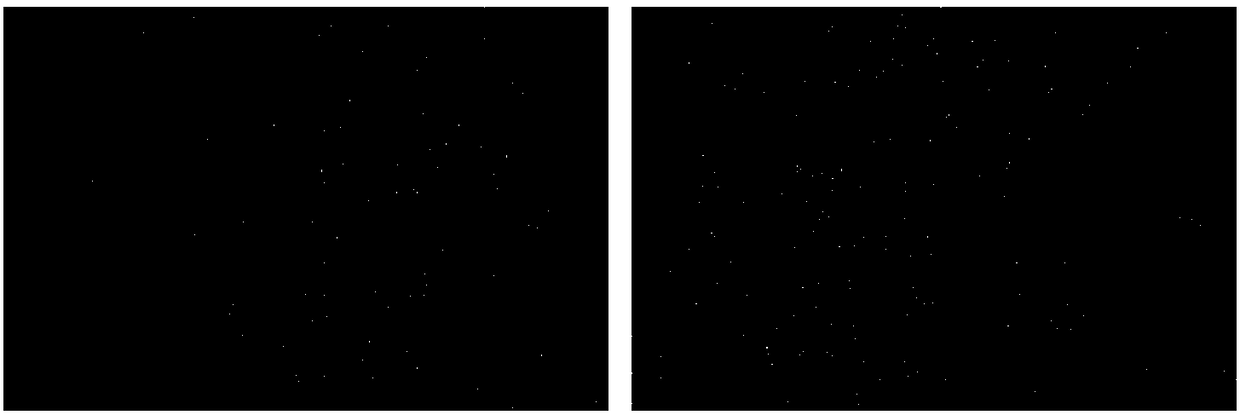 Preparation method of palladium nano-clusters with sizes controllable