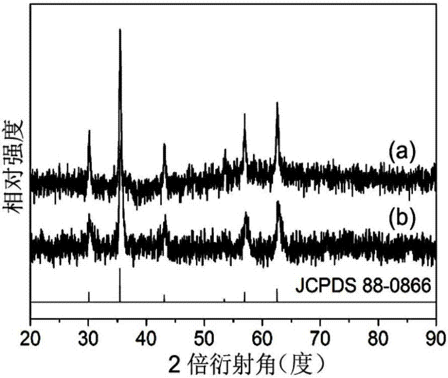 A kind of preparation method for the magnetic target drug that is used to inhibit the growth of Hela cell