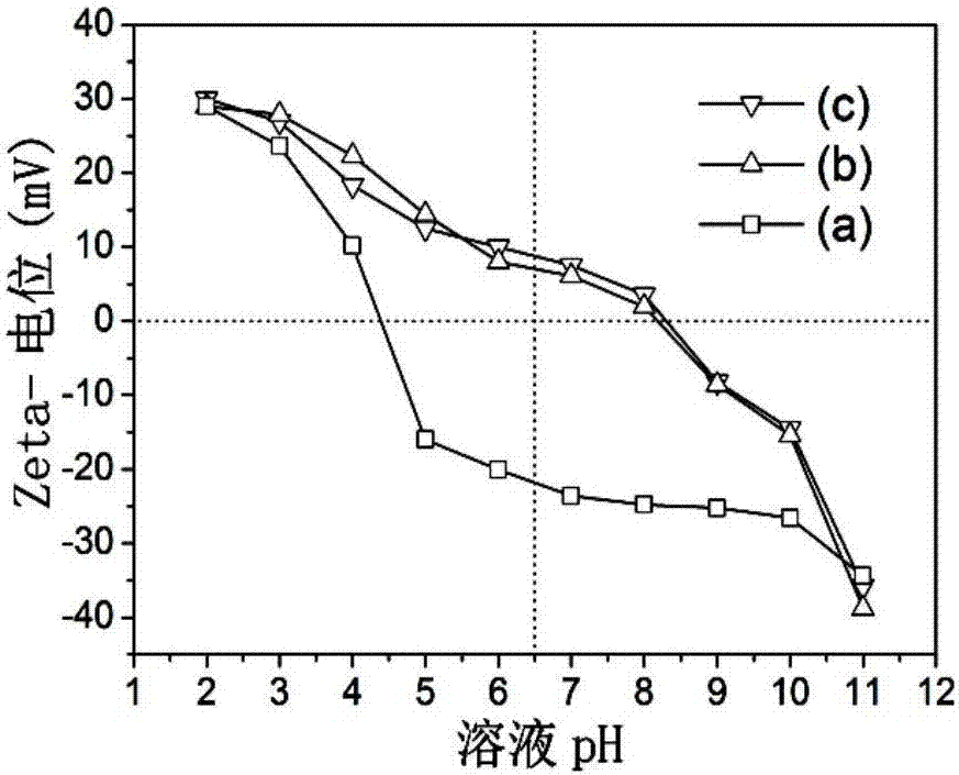 A kind of preparation method for the magnetic target drug that is used to inhibit the growth of Hela cell