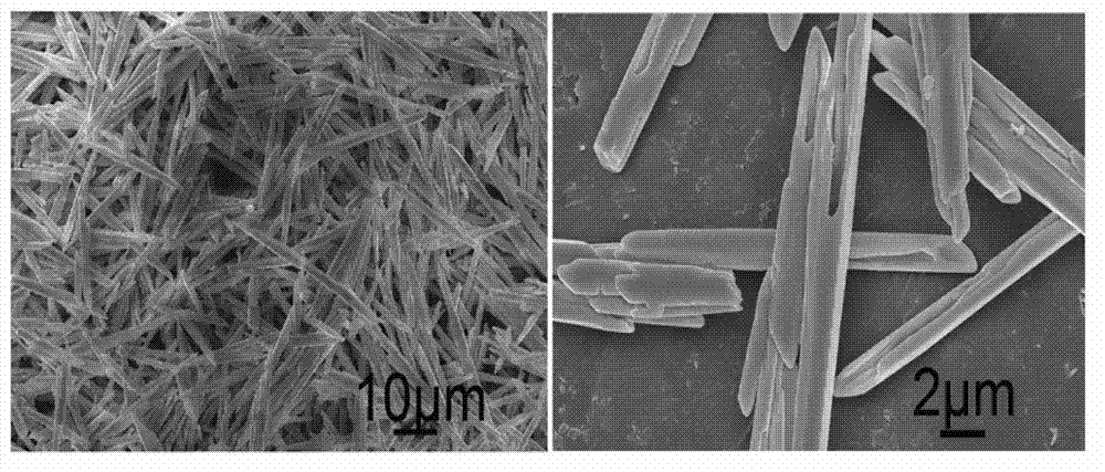 Bismuth trioxide nanotubes prepared by microwave-assisted liquid-phase process and application thereof