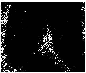 Method for preparing porous ceramic/metal bicontinuous phase composite material composed of adjustable matrix phase and reinforcing phase