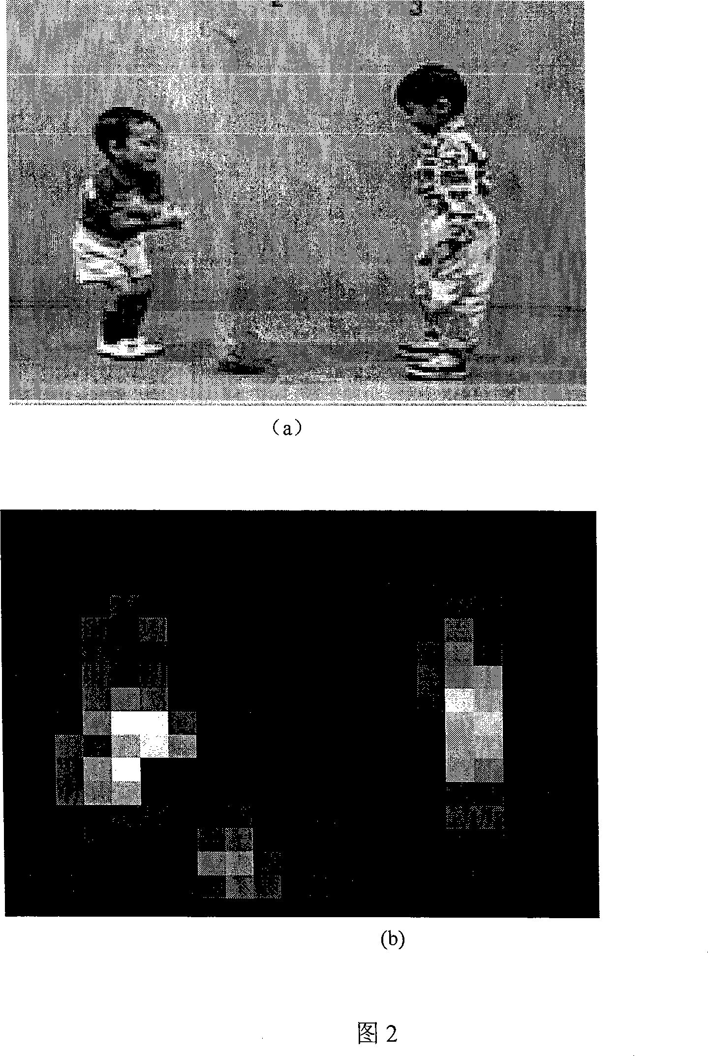 Vision attention based video encoding method