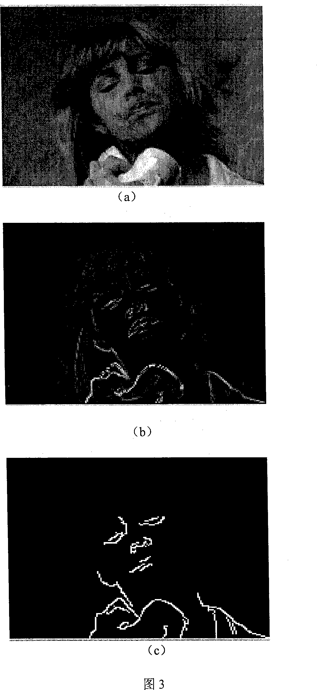 Vision attention based video encoding method