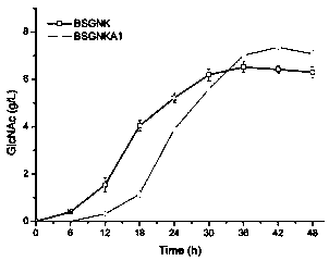 Recombinant bacillus subtilis and application