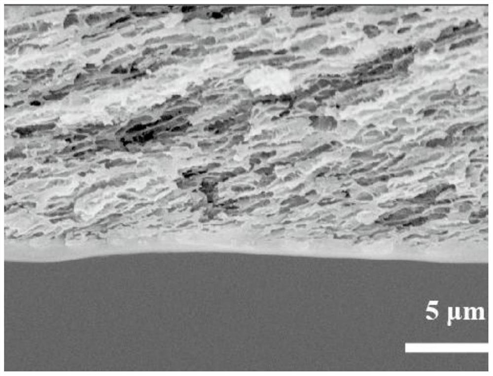 A transparent antifouling patch and its preparation method and application