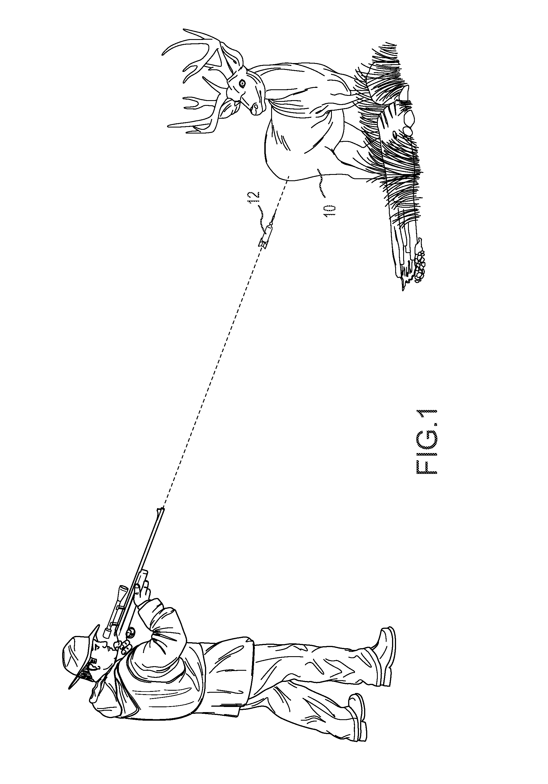 Sedating and Immobilizing Non-Domesticated Mammals