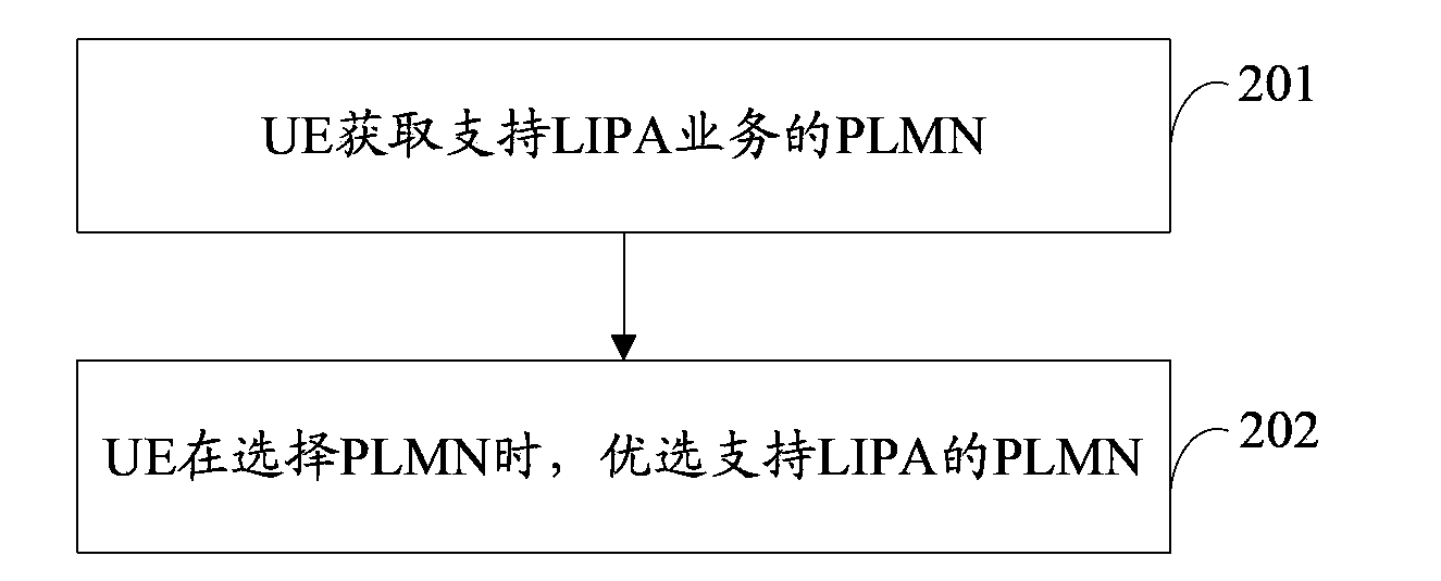 Method for supporting correct establishment of local IP access (LIPA) service