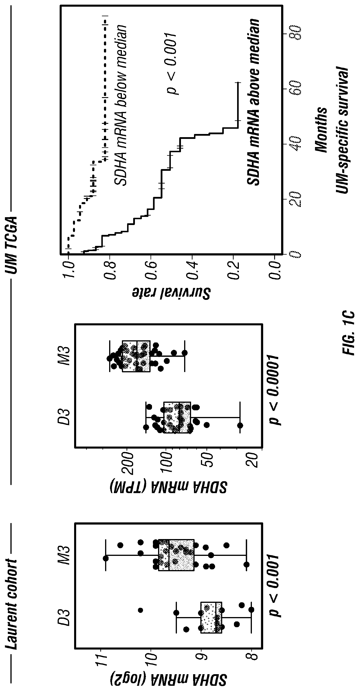 Use of sdha as a prognostic marker and therapeutic target in uveal melanoma