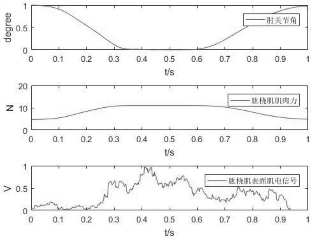 Human upper limb muscle strength prediction device and method based on radial basis function neural network