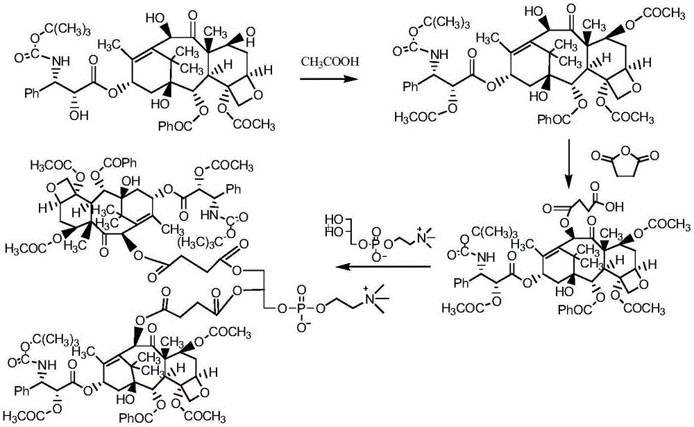 A paclitaxel phospholipid compound, its pharmaceutical composition and application