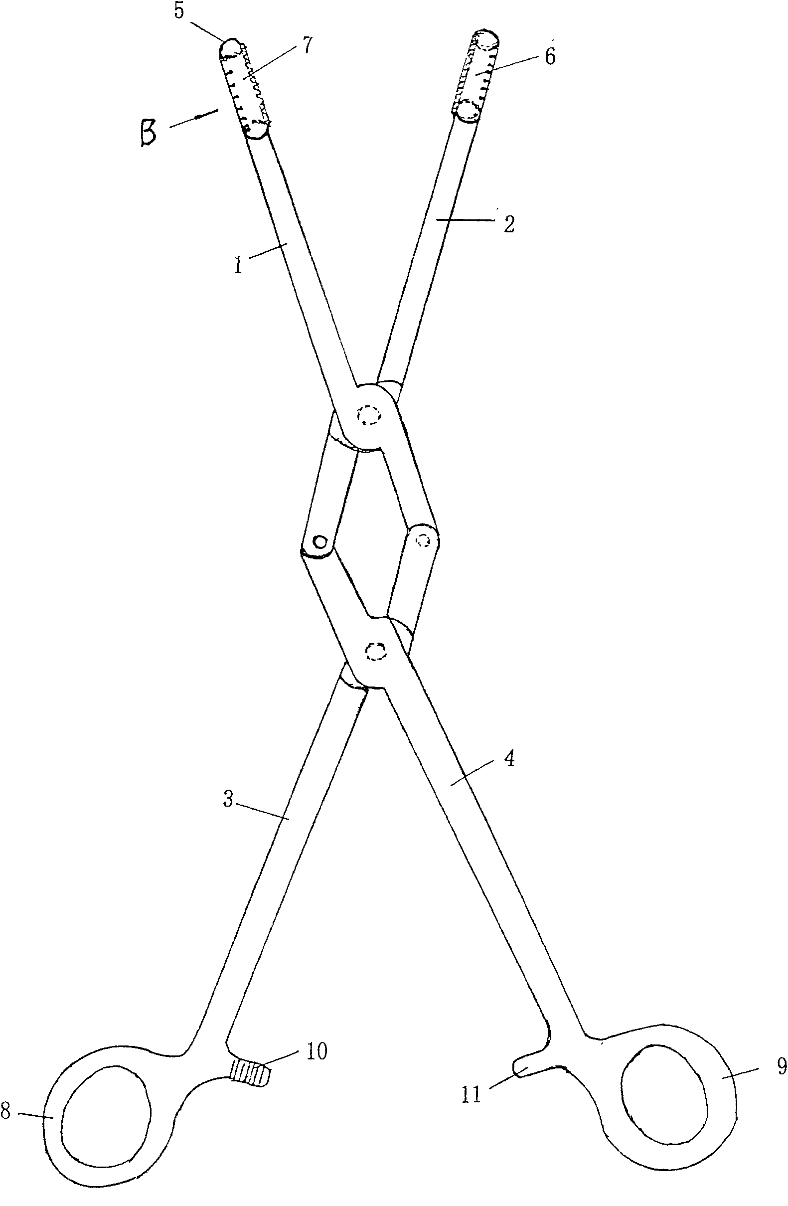 Netted multifunctional sponge holding forceps