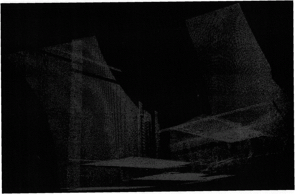 Rapid disperse three-dimensional point cloud filtering method