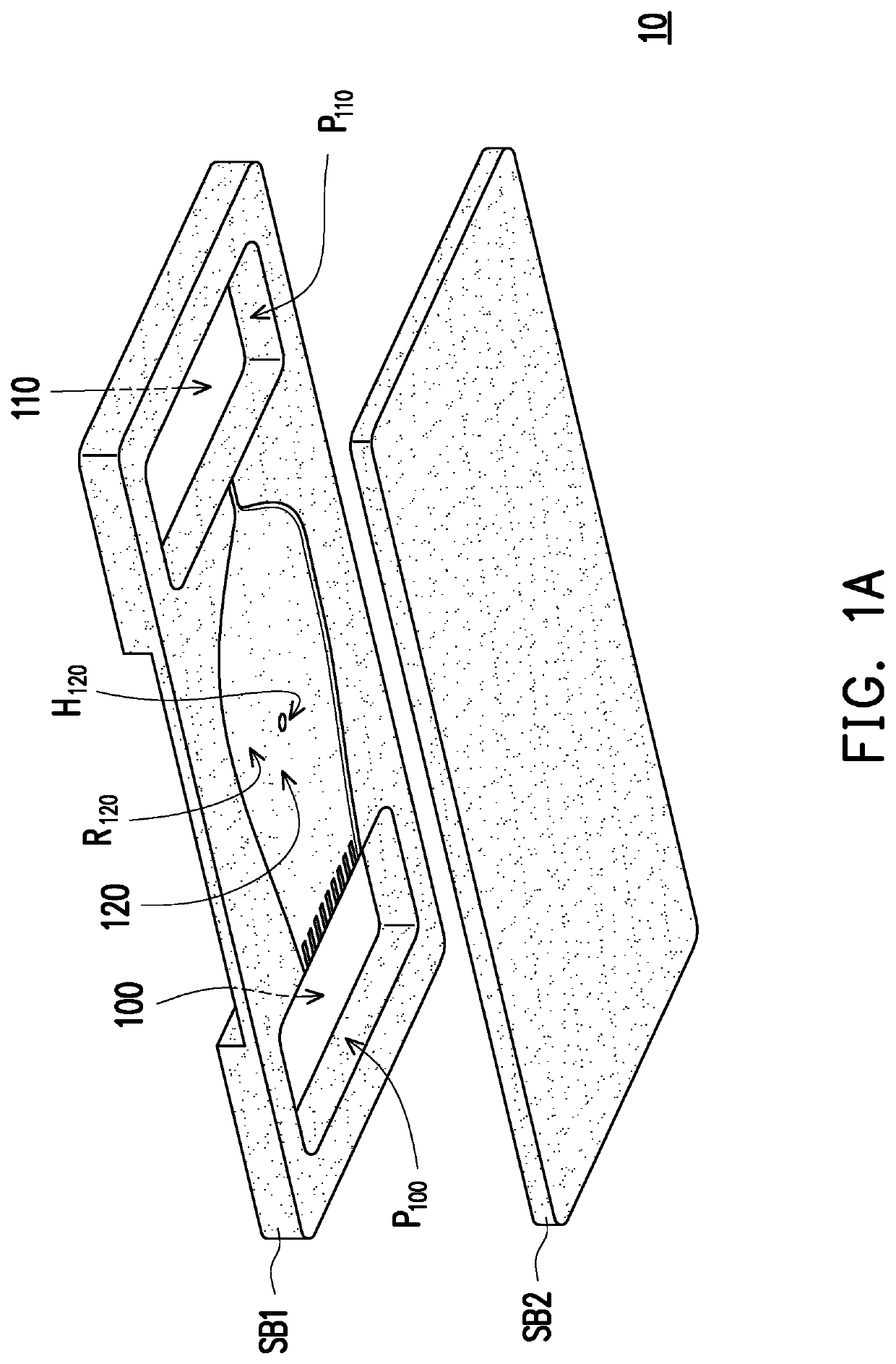 Sperm sorting apparatus and sperm sorting method