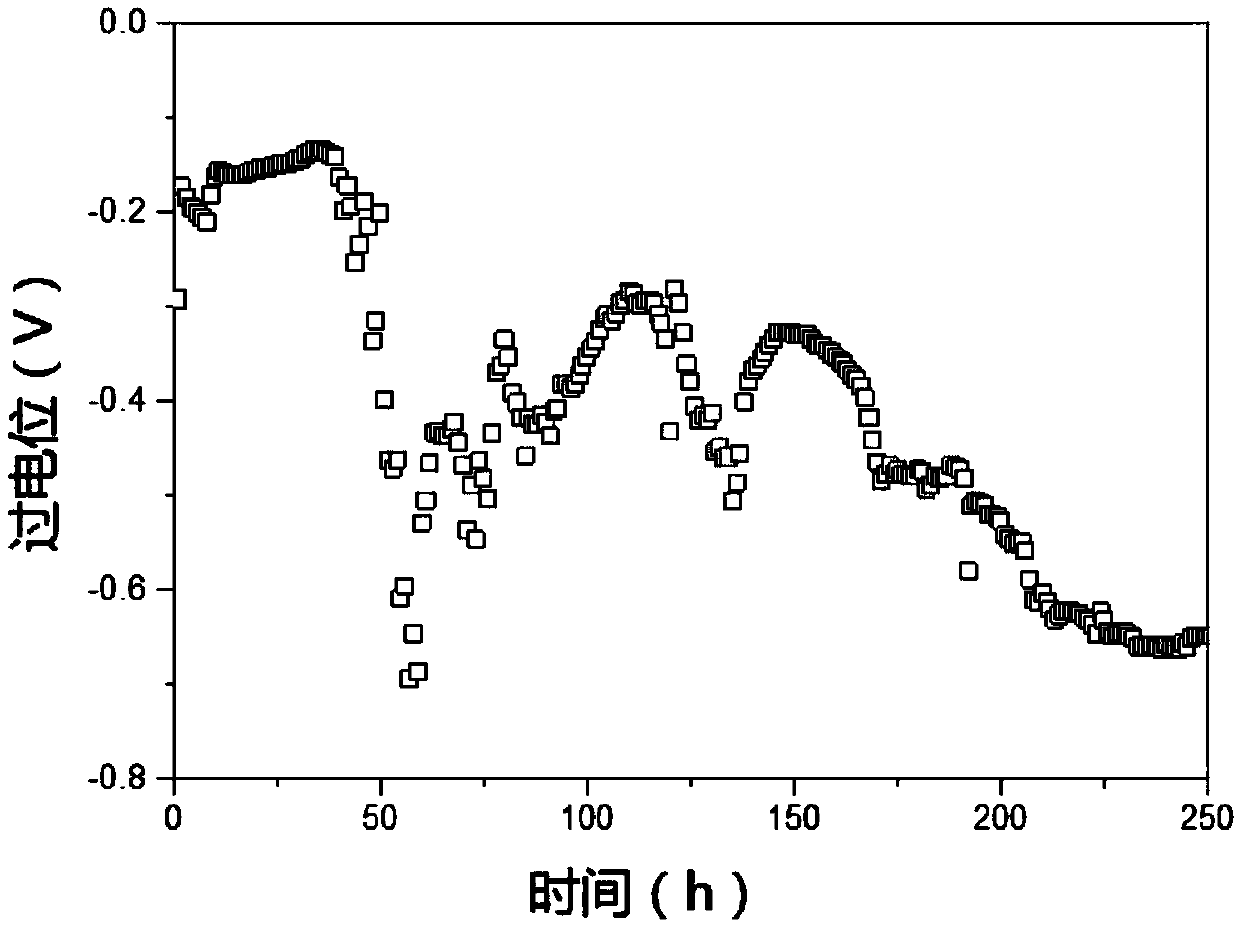 Lithium battery negative electrode and lithium battery