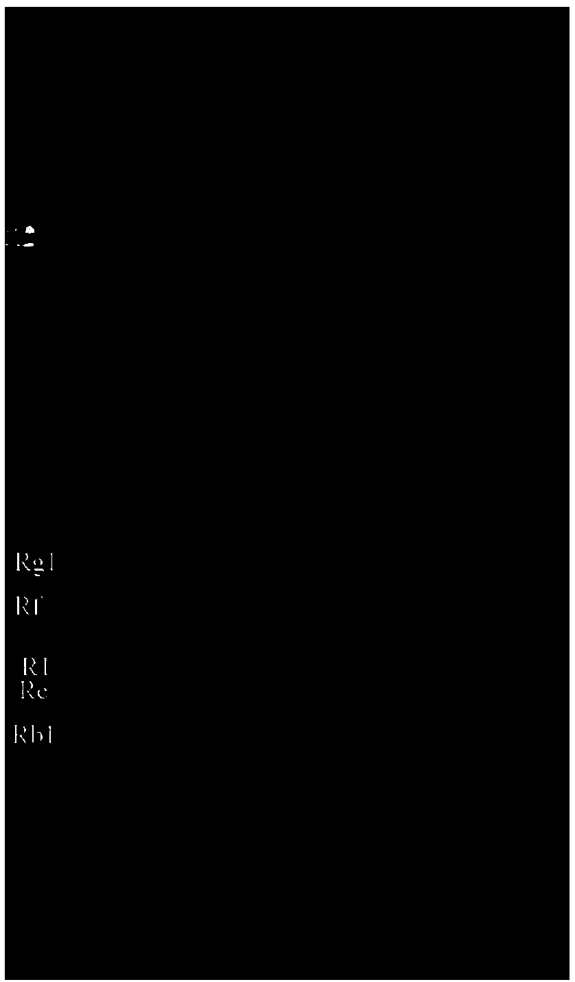 A detection method for traditional Chinese medicine preparations containing ginseng or Panax notoginseng