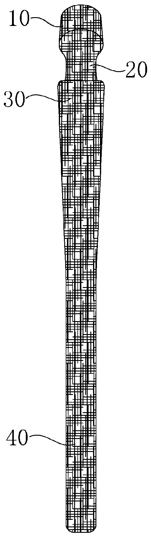 Femoral stem prosthesis and manufacturing method thereof