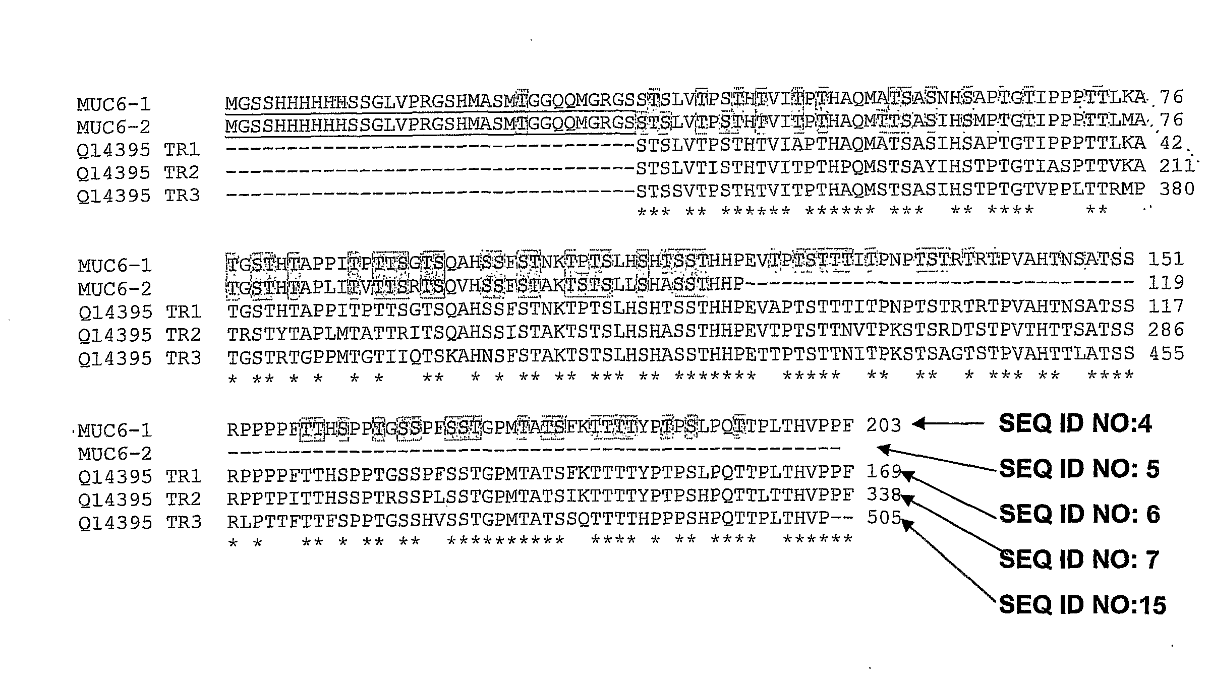 Enzymatic large-scale synthesis of mucin glyconjugates, and immunogenic applications thereof