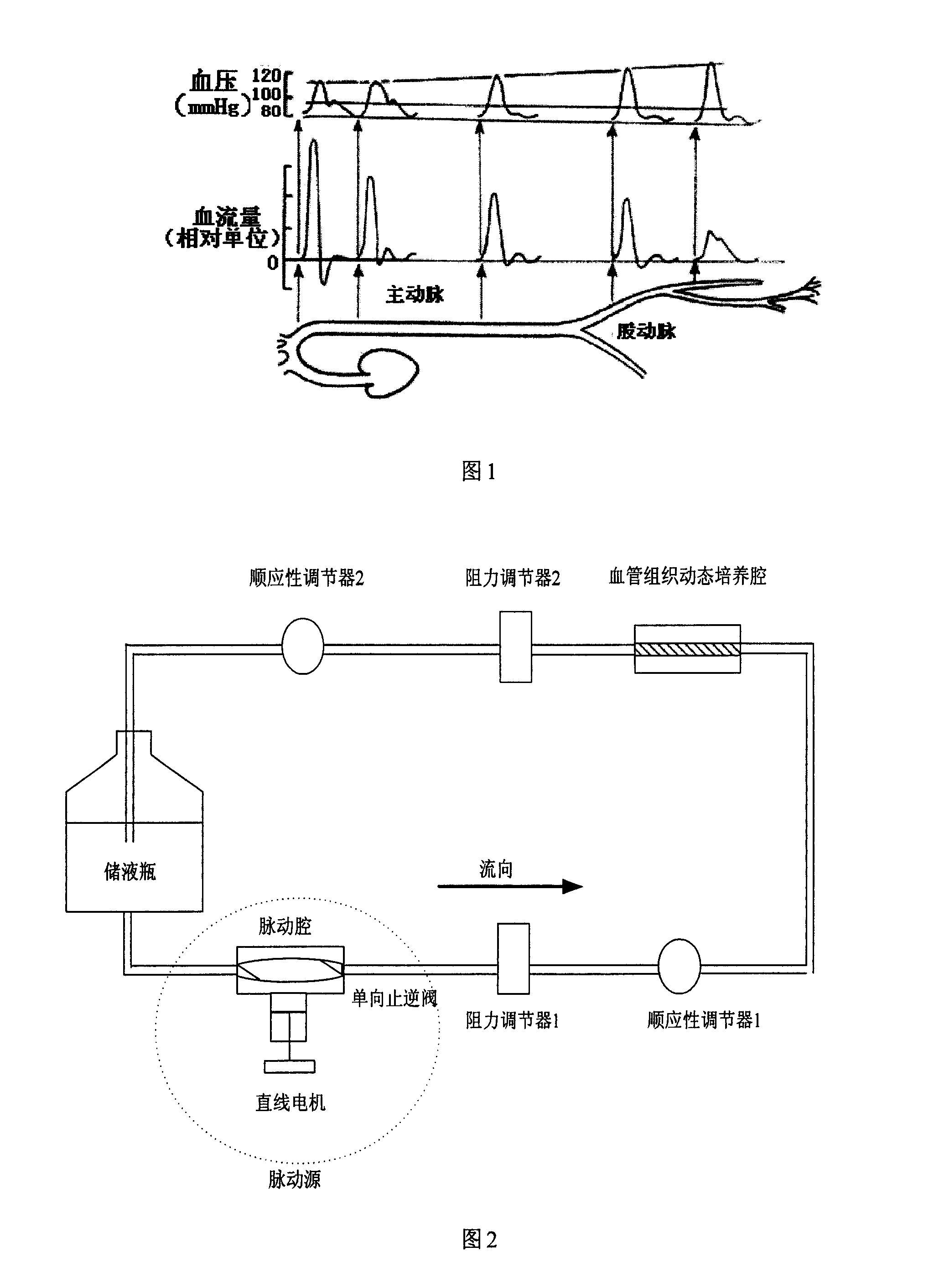 Arterial vessel tissue engineering reactor simulating physiological pulsating flow surrounding