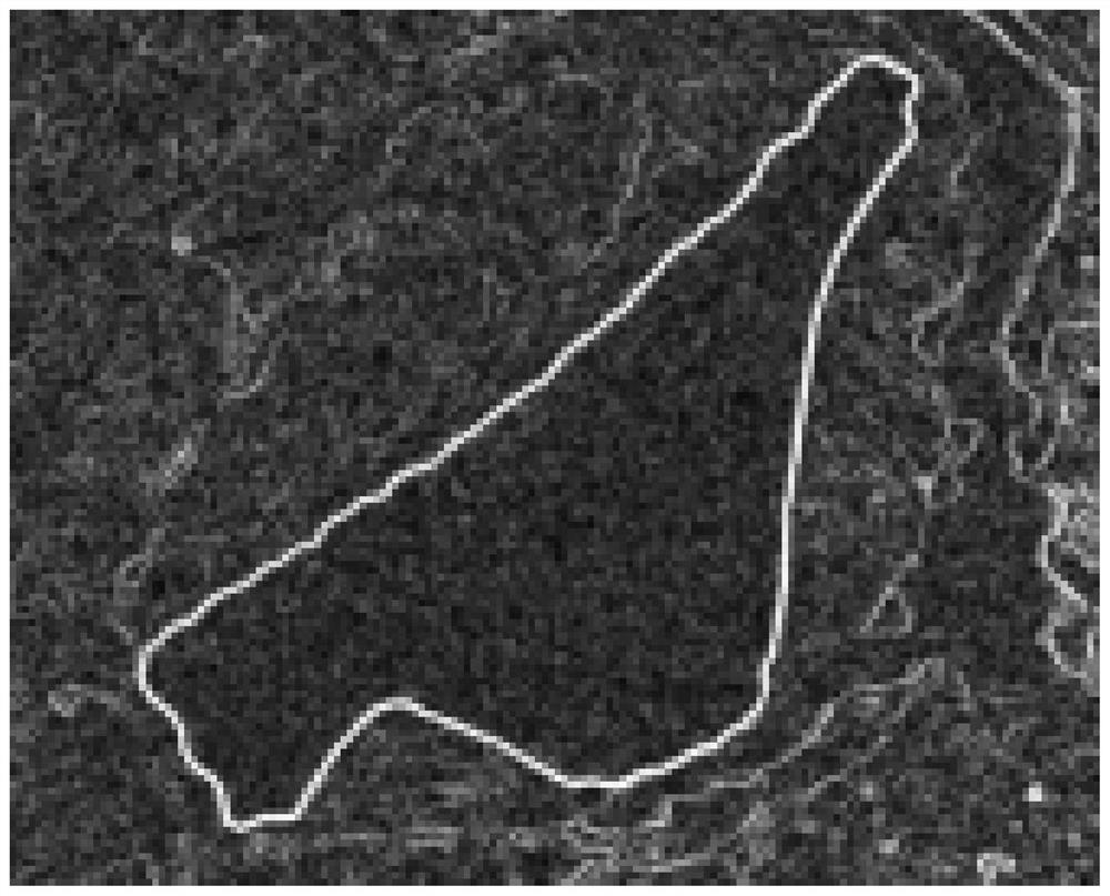 Remote sensing identification method of polar iceberg based on double bubbling method