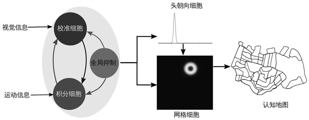 Brain-like robot navigation method based on Bayesian multimodal perception fusion