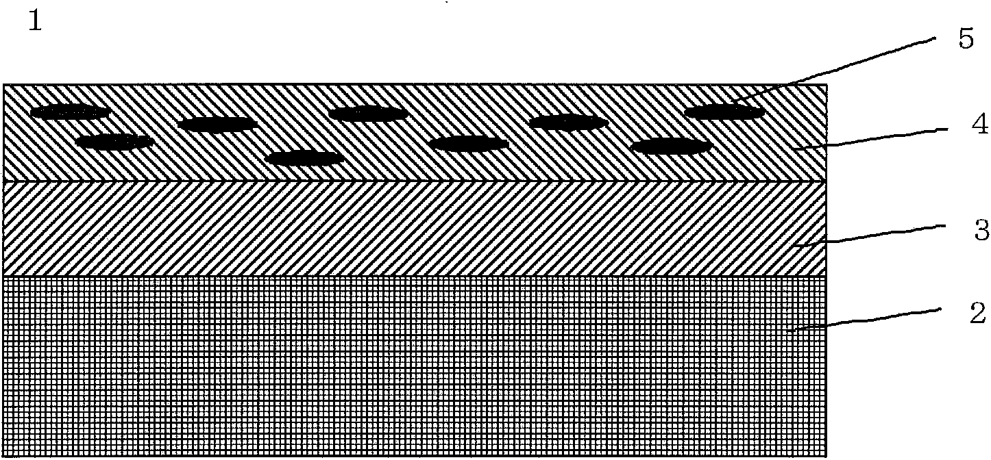 Circular polarization light board and display device