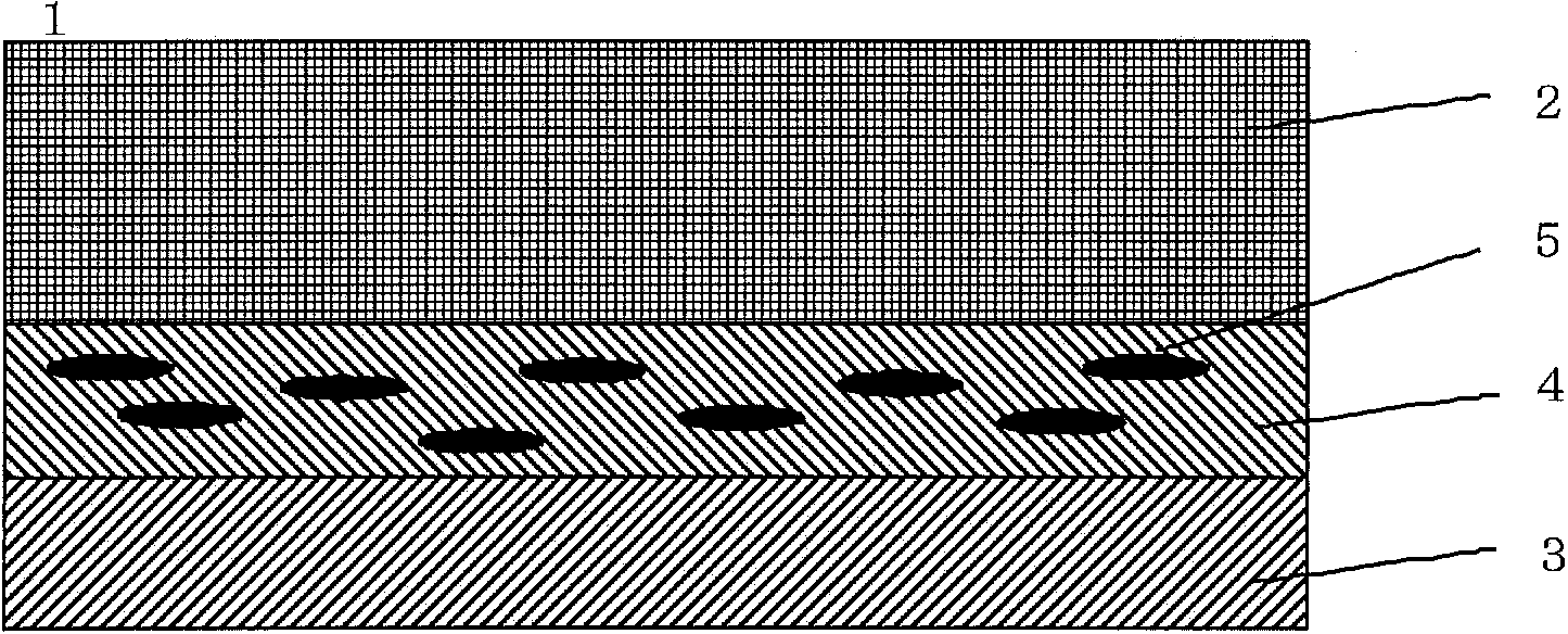 Circular polarization light board and display device