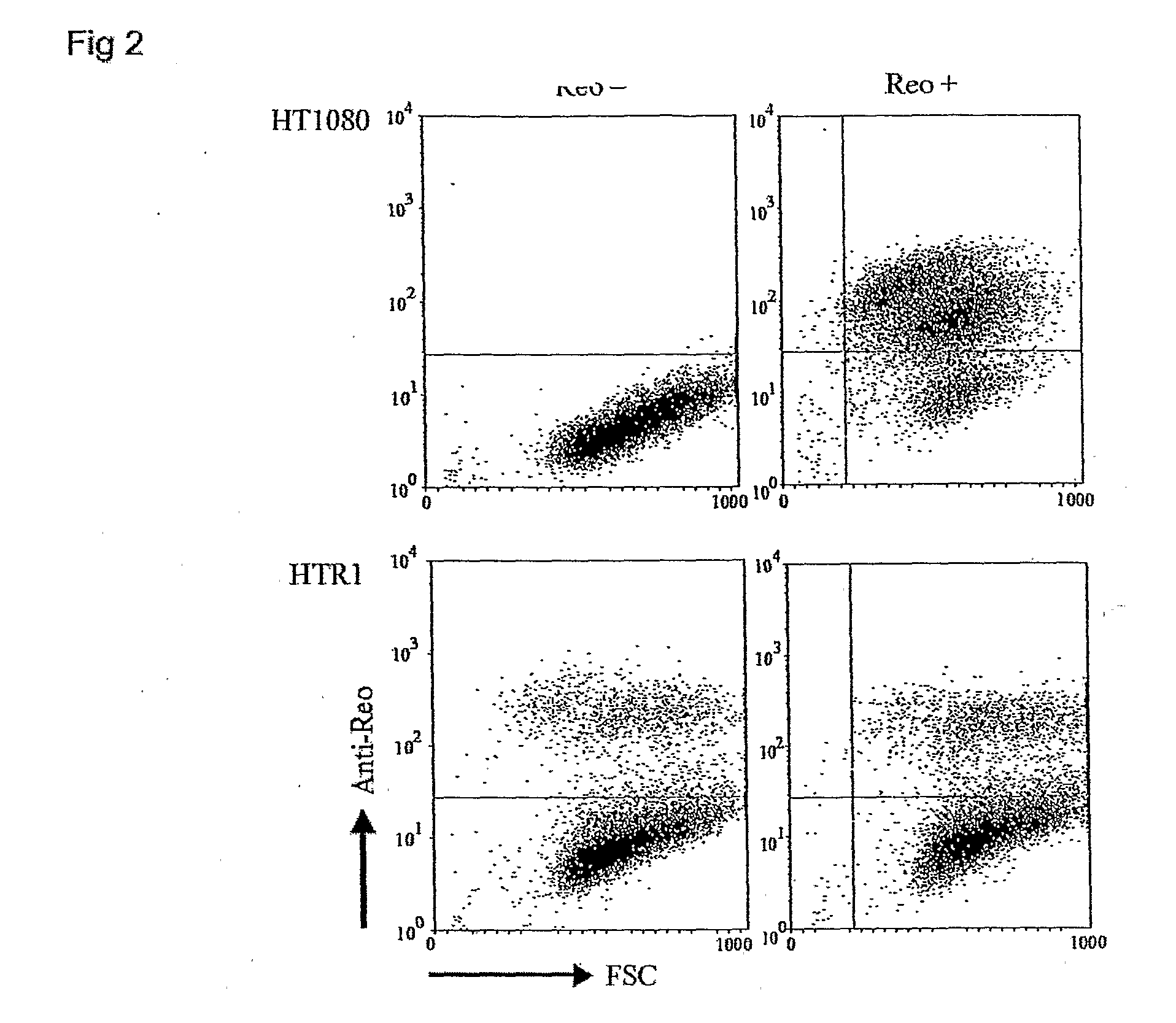 Attenuated reovirus