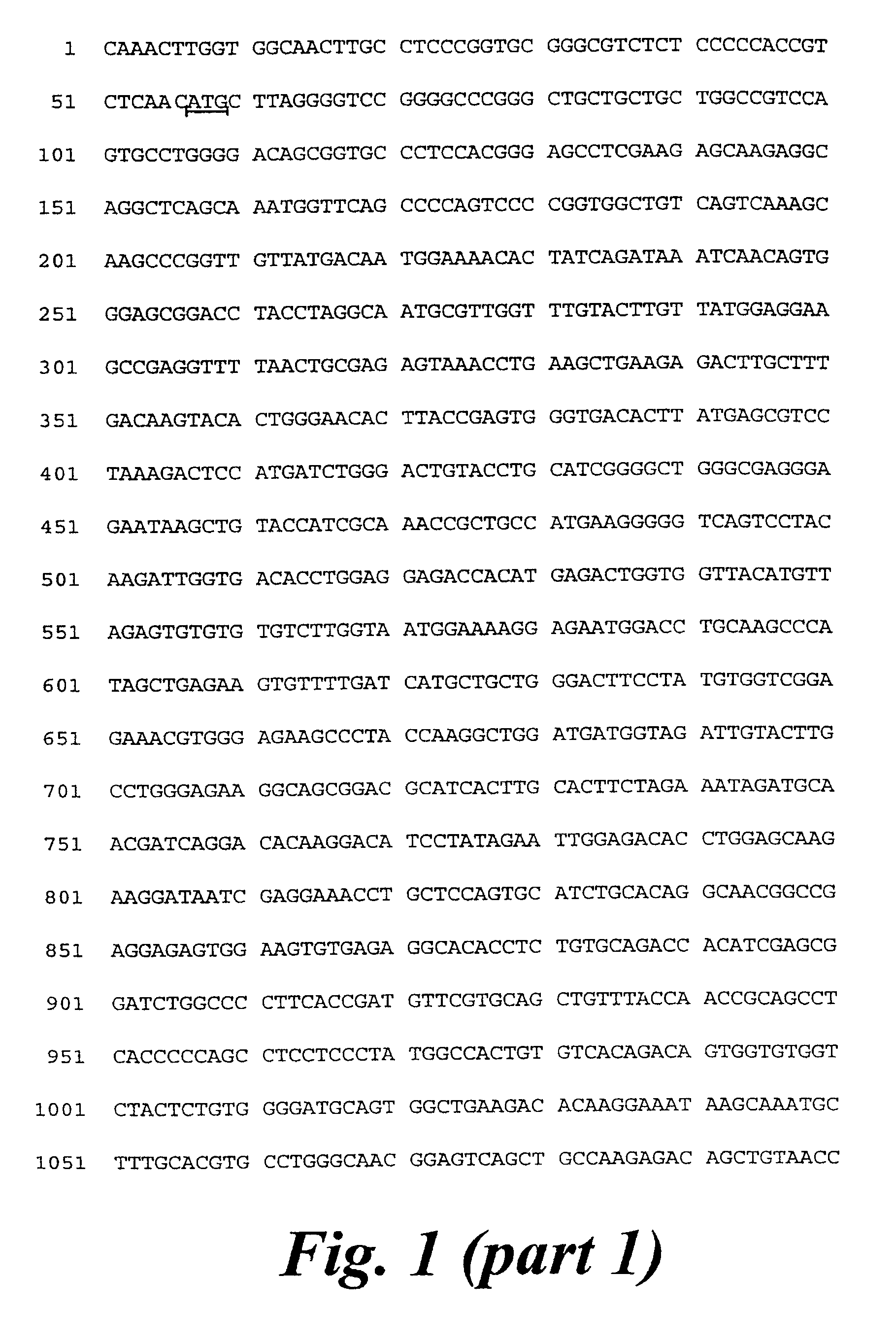 Polypeptides, polynucleotides and uses thereof