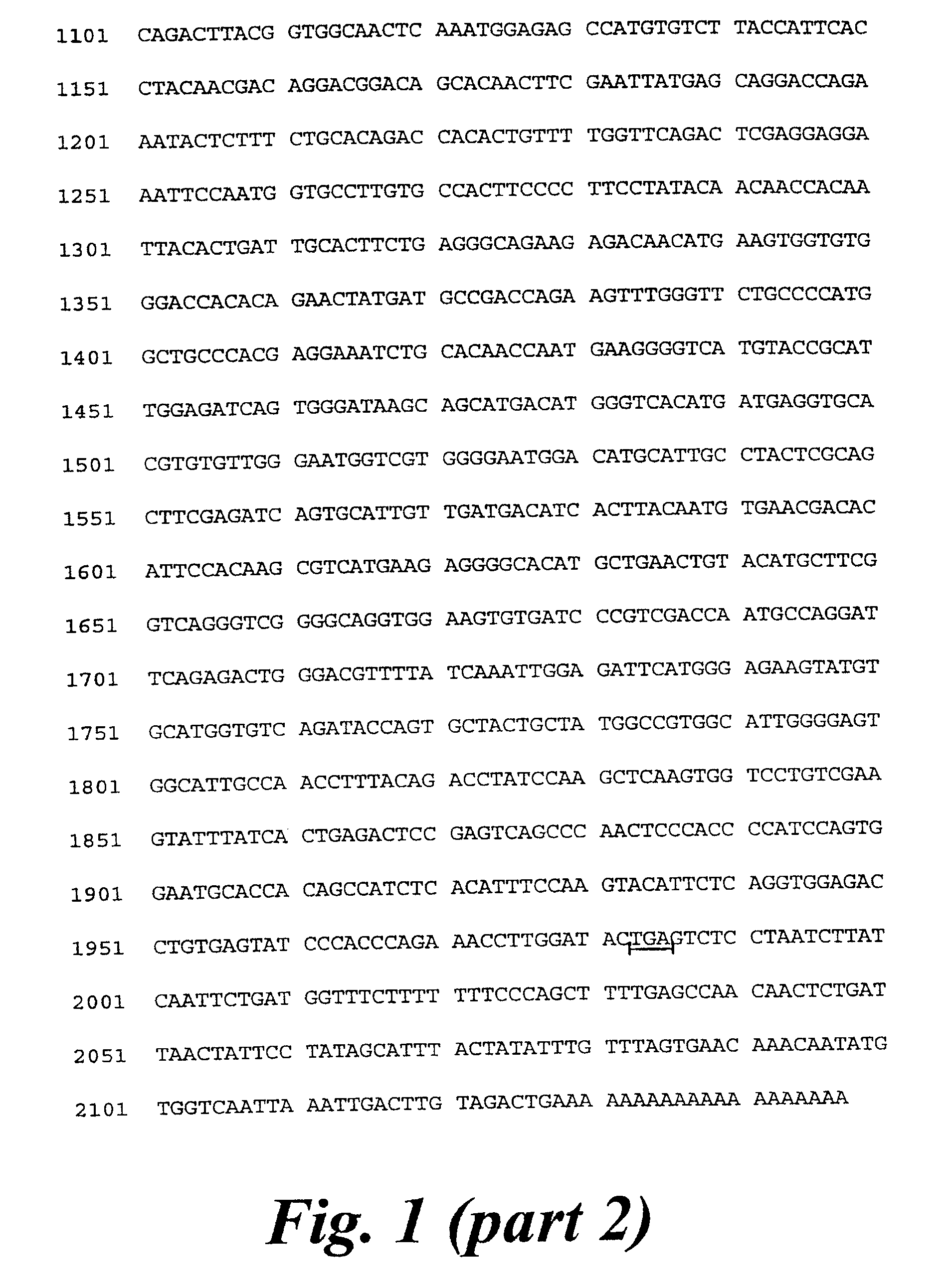 Polypeptides, polynucleotides and uses thereof