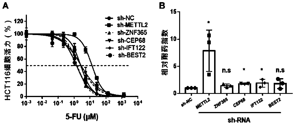 Application of METTL2 gene in preparation of kit for detecting treatment sensitivity of colorectal cancer fluorouracil drugs