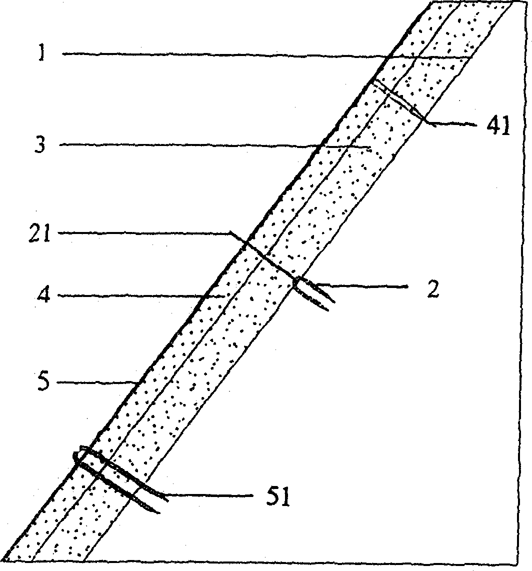 Slope afforesting method